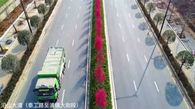 關花大道最新進展，矚目盛景呈現(xiàn)！