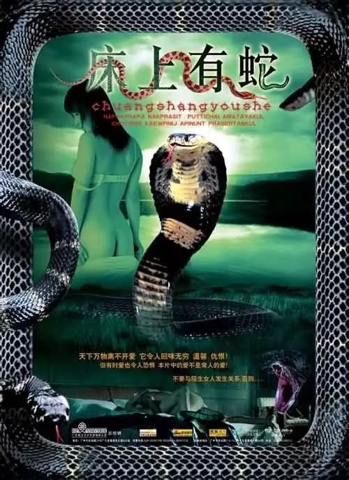 最新蛇片，蛻變的旅程，召喚自信與成就感的冒險之旅