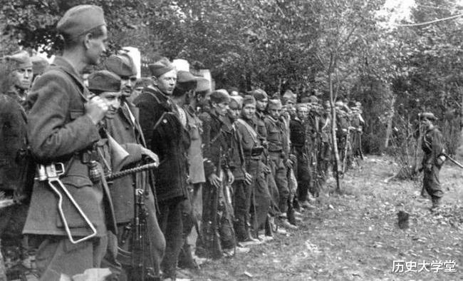 南斯拉夫電影二戰(zhàn)老片，自然美景背后的探索之旅