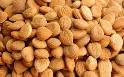 苦杏仁行情深度解析，背景、事件與地位探究