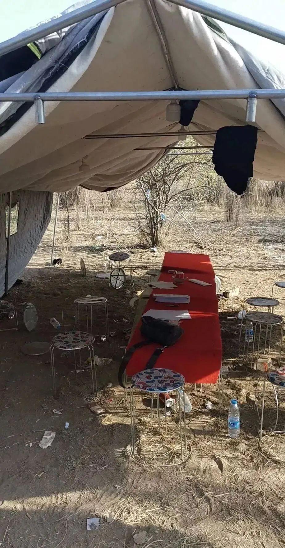 永寧望遠最新職位招聘，時代脈搏下的職場新篇章