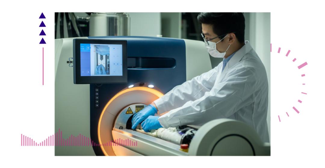 香港脊髓研究取得新進展，探索自然美景的心靈之旅新篇章