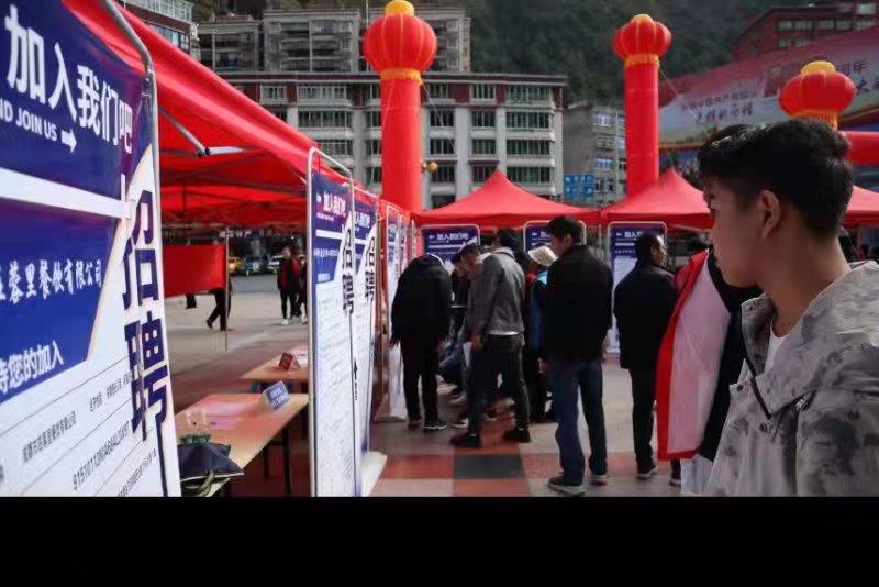 青白江招聘信息探索，小巷中的職業(yè)機遇