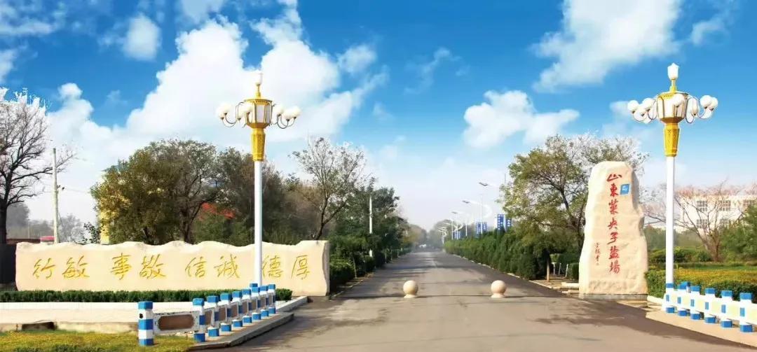 最新票據(jù)亂象調查步驟指南揭秘