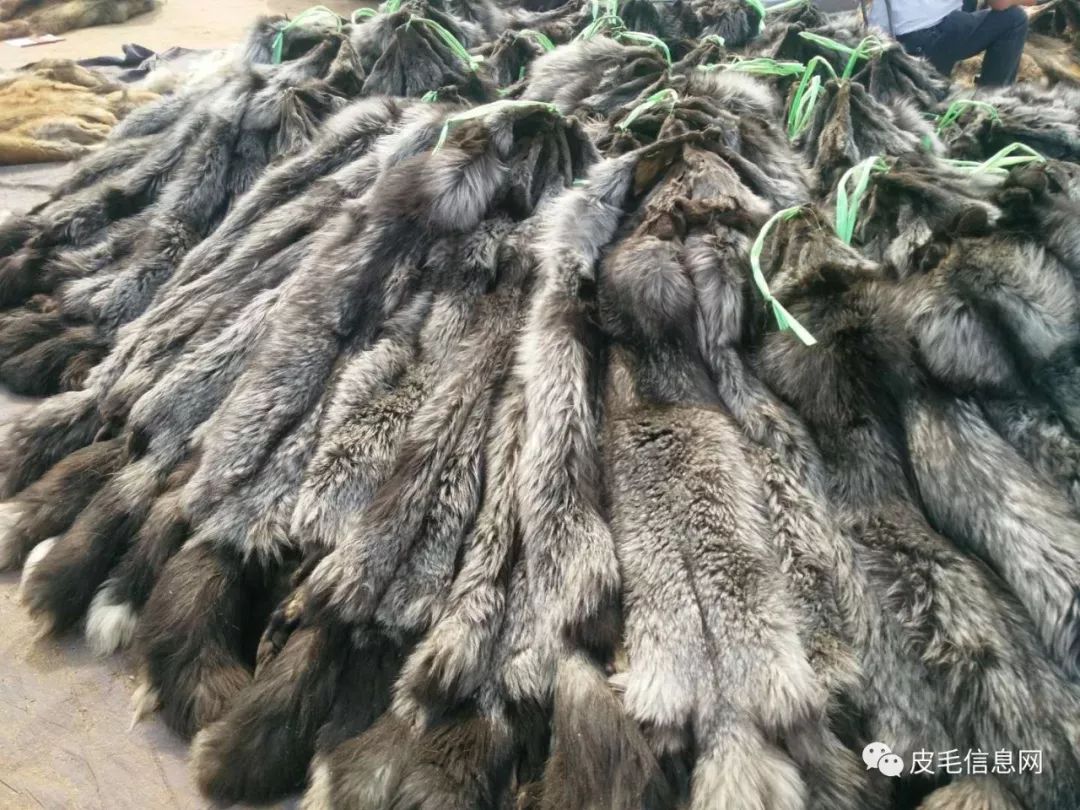 貉皮尚村最新價(jià)格，小巷中的時(shí)尚皮草寶藏探索