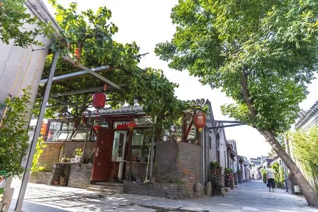 草社區(qū)美食探險之旅，探尋小巷中的隱藏寶藏與最新地址揭秘