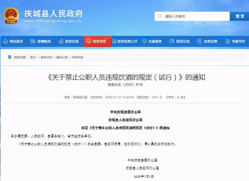 酒駕處罰2024最新標(biāo)準(zhǔn)詳解，步驟指南與更新概覽