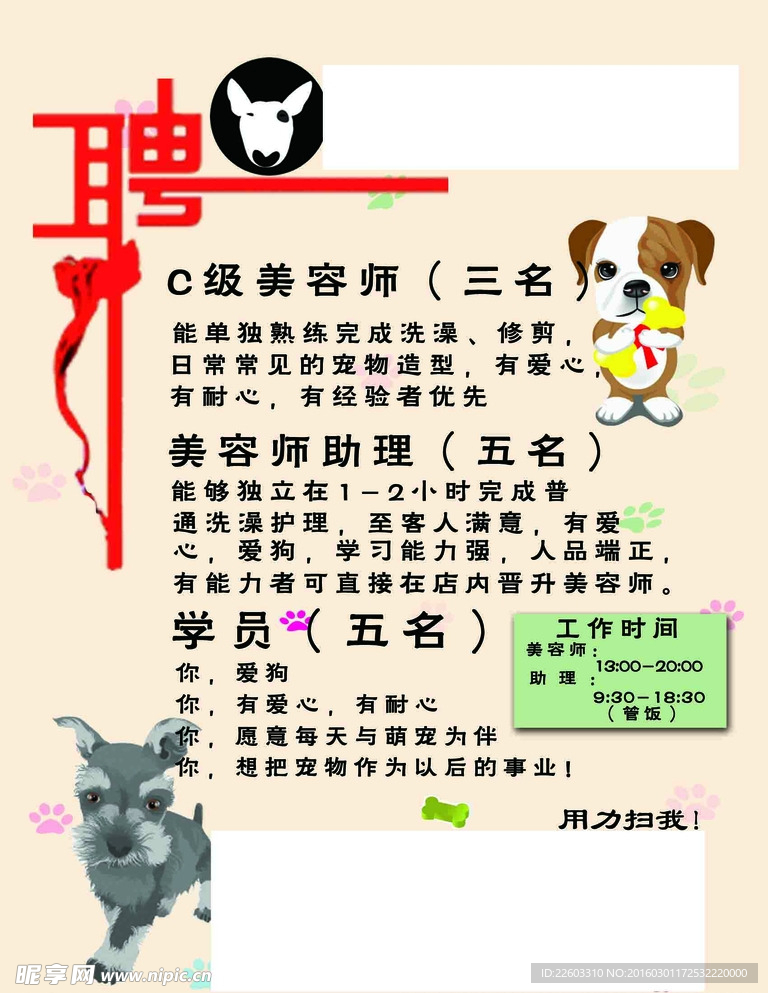寵物店招聘最新動(dòng)態(tài)，共探自然之美，尋求內(nèi)心寧?kù)o