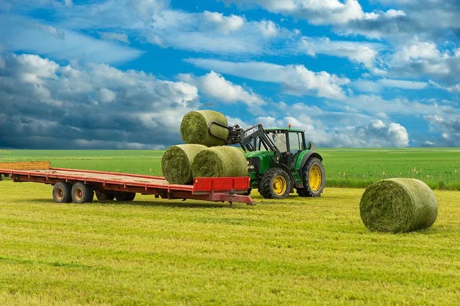 農業(yè)最新動態(tài)，時代的脈搏與綠色希望共舞