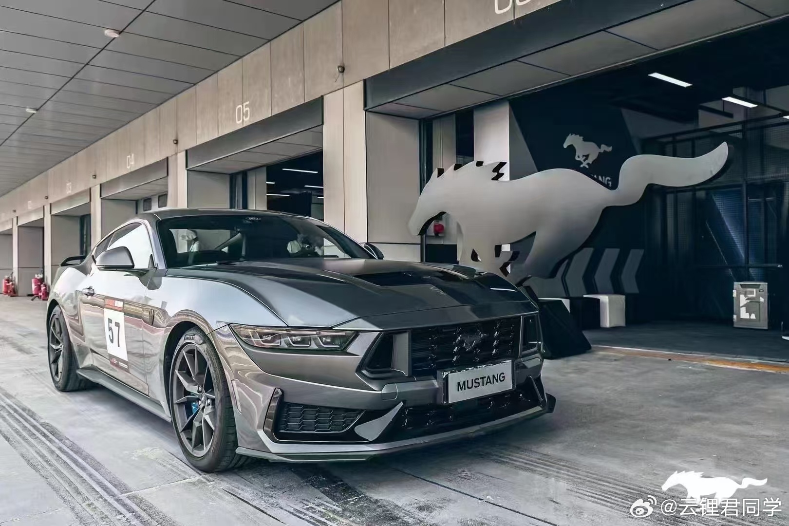 野馬擼最新動態(tài)，駕馭變化，自信成就夢想之旅