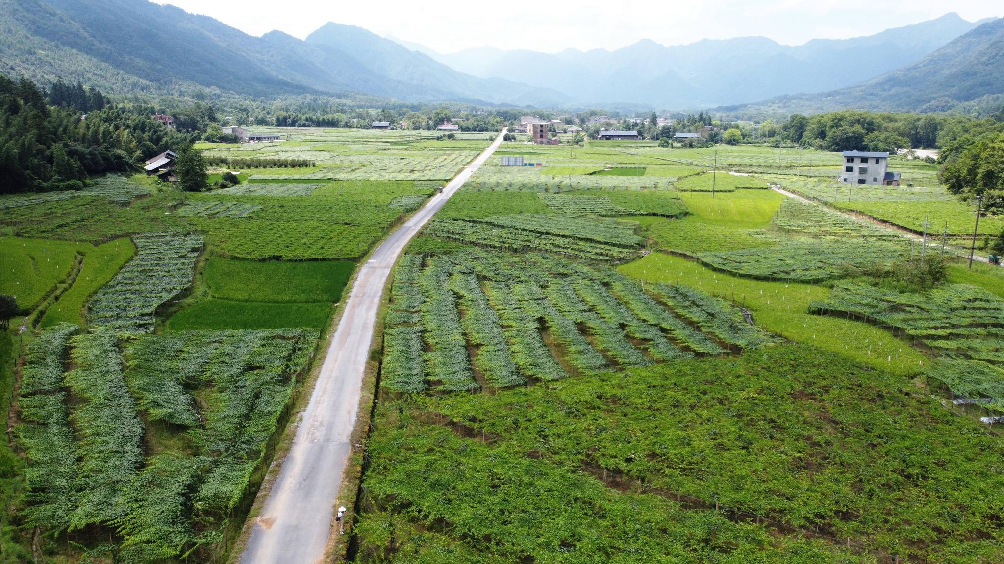 新文村，時代變遷下的文化繁榮與發(fā)展新篇章