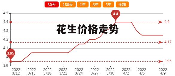 遼寧花生最新價(jià)格揭秘，一段溫馨的友情故事中的緣分相逢