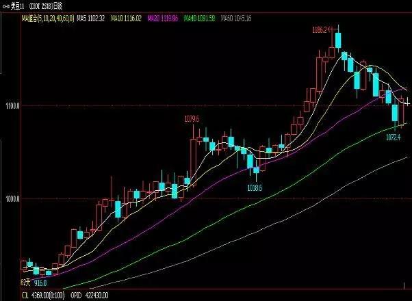 豆油最新行情概覽，市場(chǎng)走勢(shì)分析與未來展望