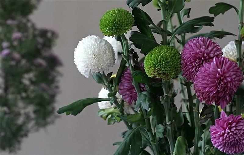 最新娛樂頭條，躍上成功舞臺(tái)的魔力之旅，自信與成就感的碰撞