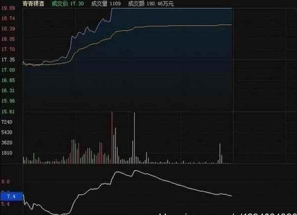 胡立陽最新探索，自然美景的治愈之旅