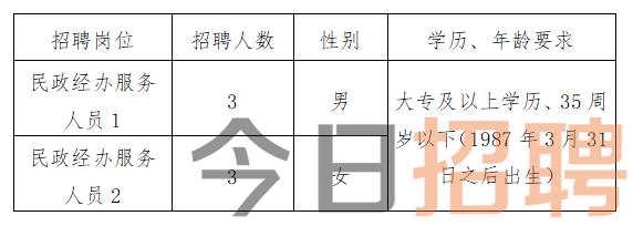 慶陽最新招聘揭秘，小巷中的特色小店，探索未知寶藏的職場之旅