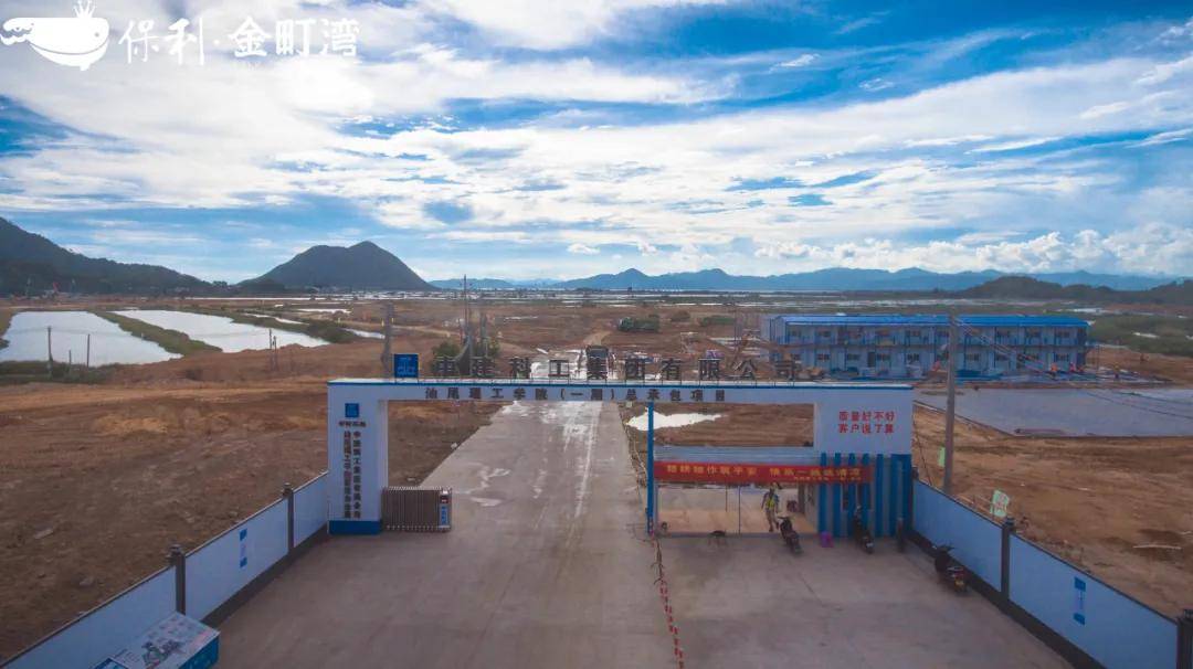 汕尾最新大項目揭秘，小巷深處的獨特風(fēng)味