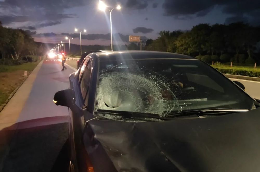 舟山車禍最新動態(tài)，科技引領(lǐng)事故處理重塑新篇章