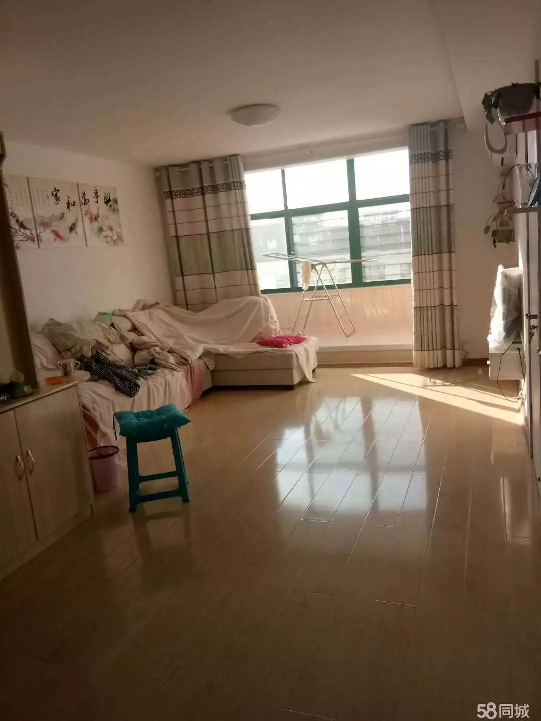 萊西最新個(gè)人租房，窗外世界與自我成長(zhǎng)的旅程