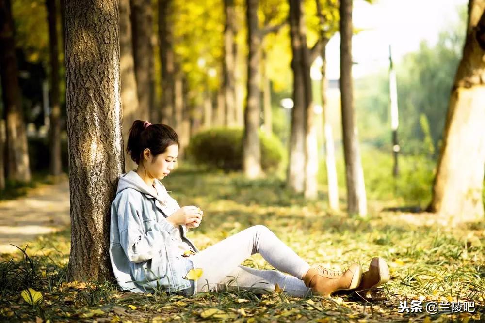 郯城與邳州沖突的深度解析與案例分析，最新進(jìn)展與案例分析