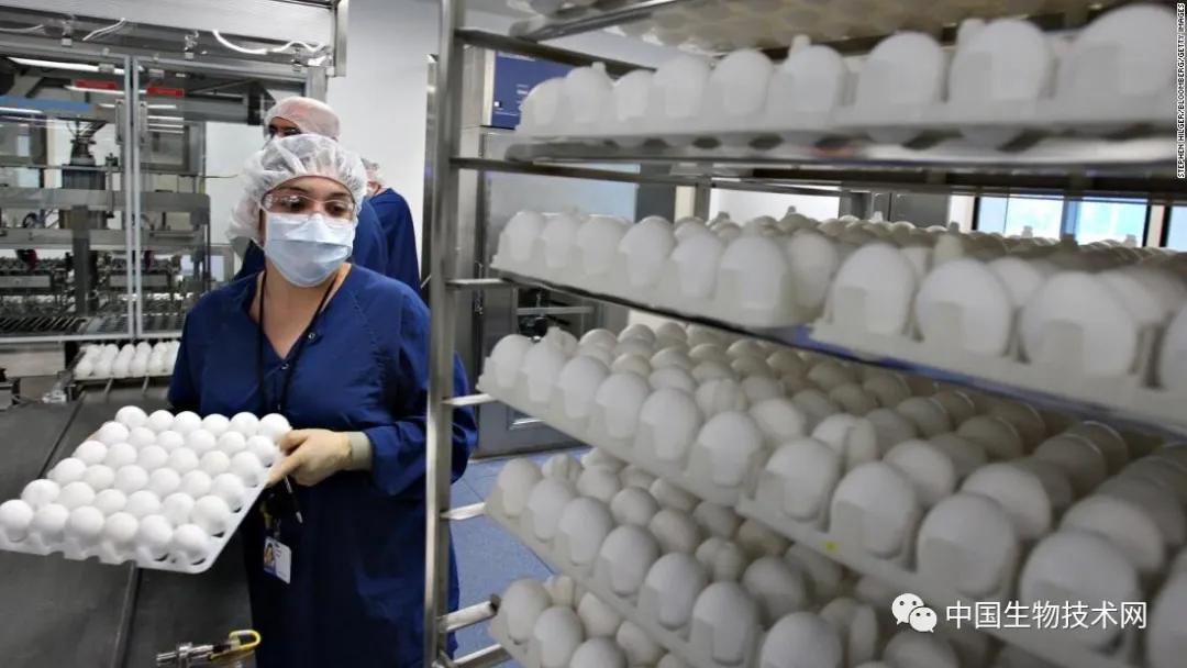 最新流感疫苗，科技助力健康新生活保護(hù)您免受流感侵襲