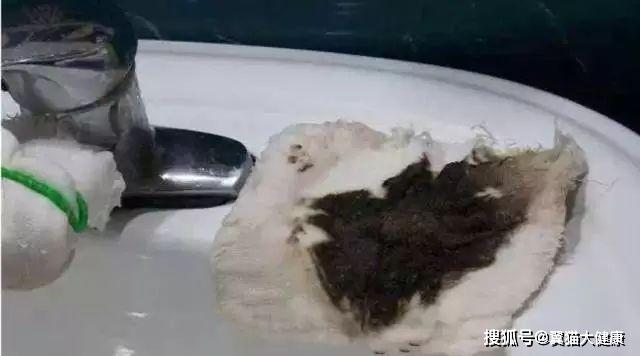 揭秘水污染真相，小杰的河流探索之旅——溫馨河流的秘密揭秘視頻