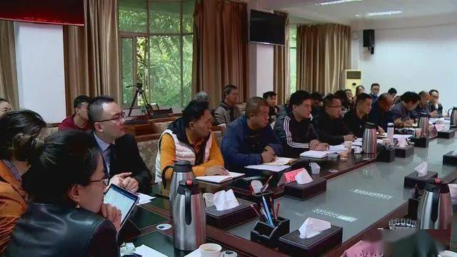 德昌最新新聞，擁抱自然，心靈寧靜之旅啟程