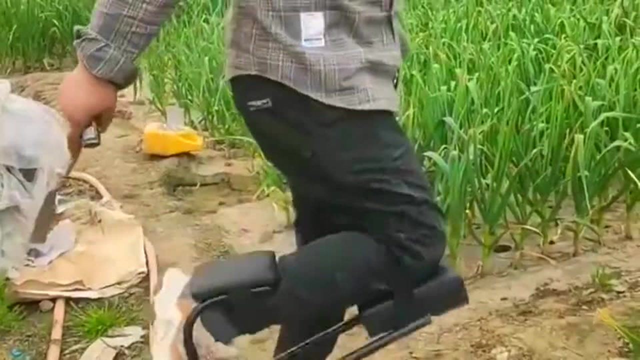 最新挖蒜工具，心靈與自然的完美交融