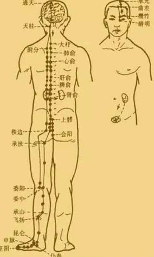 最新經(jīng)絡(luò)操，探索古老奧秘，重塑健康身姿