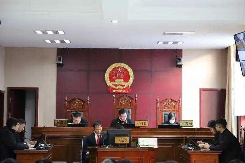 偏關(guān)最新案件深度解析，揭示真相，關(guān)注社會(huì)公正與公平