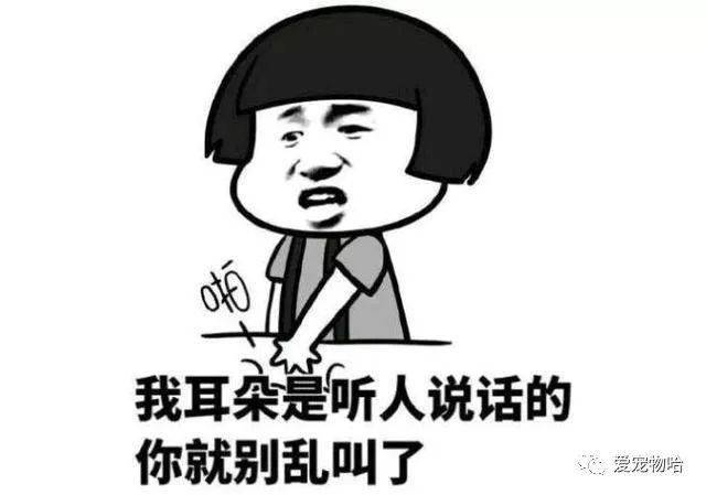 最新枕邊笑話，科技小寶貝，生活添樂趣