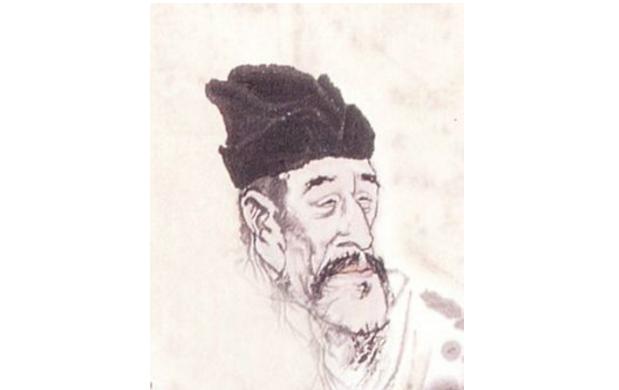 最新孤雁圖片，展現(xiàn)自然之美與深意的瞬間