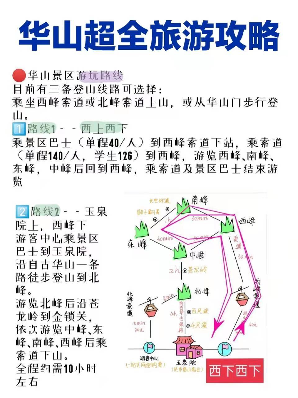華山旅游最新探秘，小巷中的獨特風味之旅