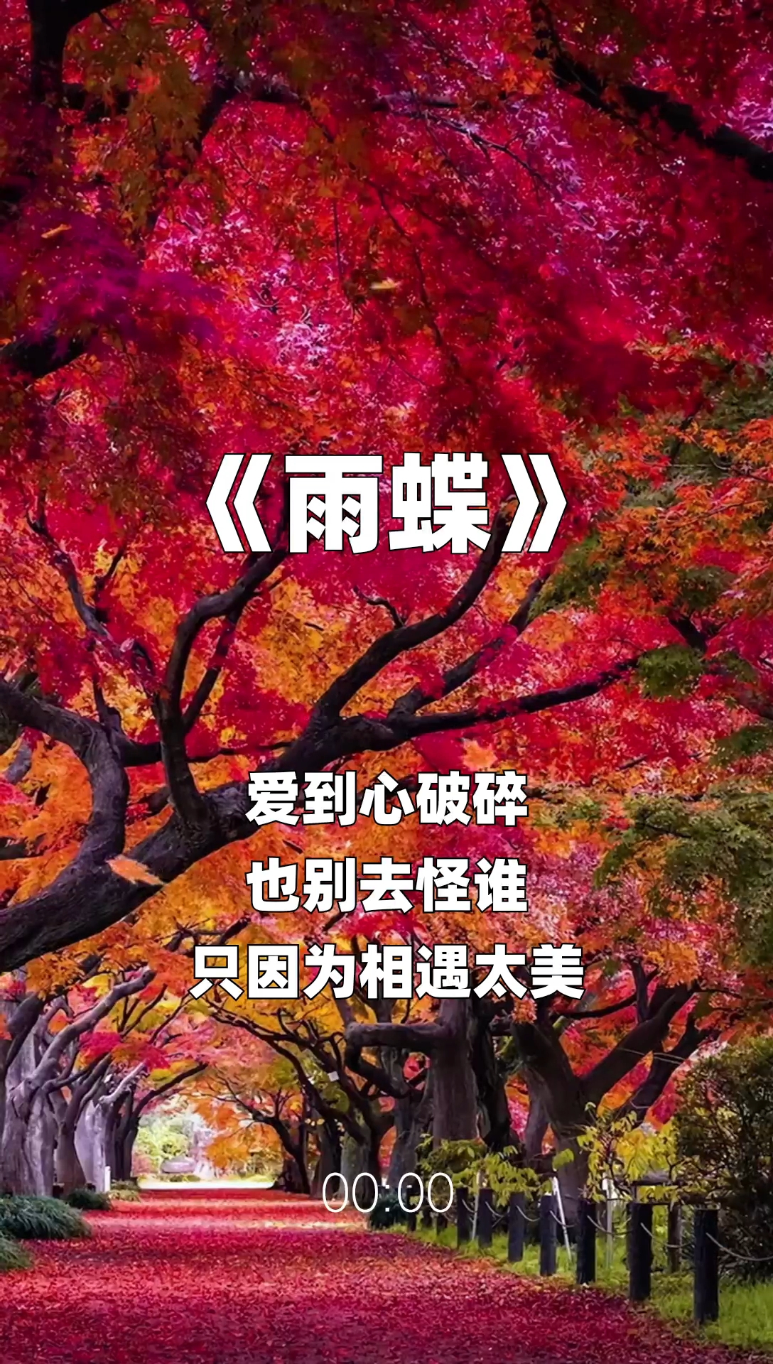 雨蝶最新步驟指南，如何完成任務(wù)或?qū)W習(xí)技能？