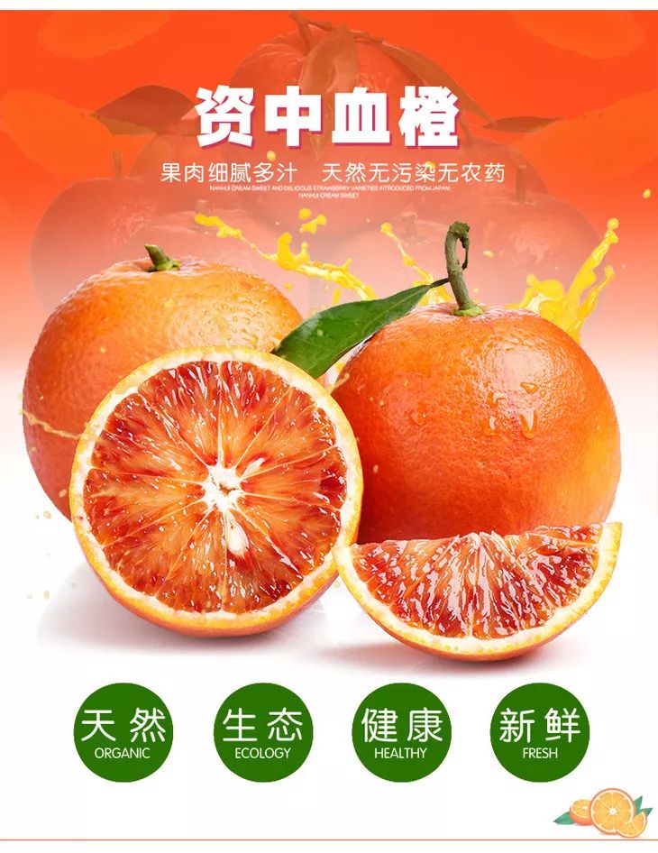 資中血橙，種植、管理與銷售全攻略的最新消息